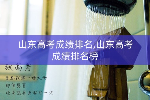 山东高考成绩排名,山东高考成绩排名榜
