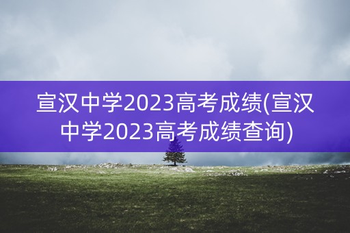 宣汉中学2023高考成绩(宣汉中学2023高考成绩查询)