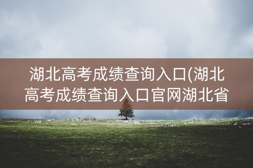 湖北高考成绩查询入口(湖北高考成绩查询入口官网湖北省教育考试院官网)