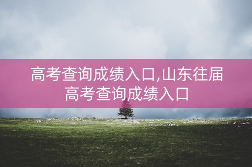 高考查询成绩入口,山东往届高考查询成绩入口
