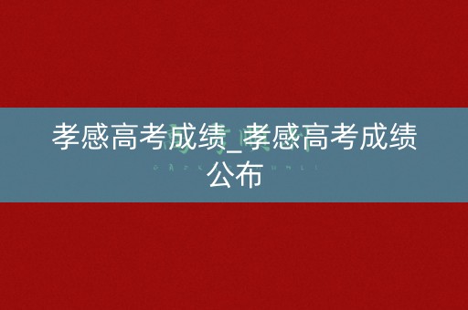 孝感高考成绩_孝感高考成绩公布