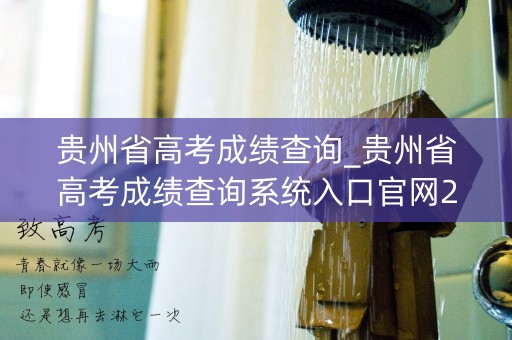贵州省高考成绩查询_贵州省高考成绩查询系统入口官网2022