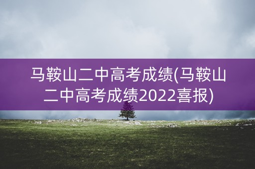 马鞍山二中高考成绩(马鞍山二中高考成绩2022喜报)