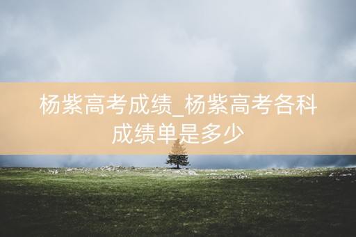 杨紫高考成绩_杨紫高考各科成绩单是多少
