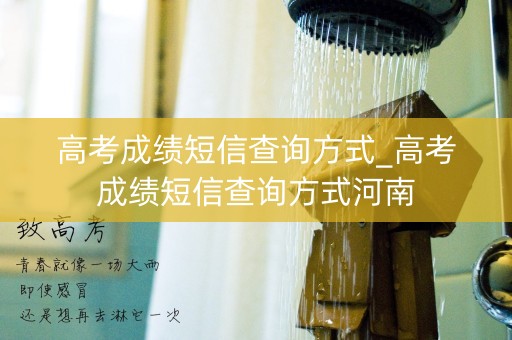 高考成绩短信查询方式_高考成绩短信查询方式河南