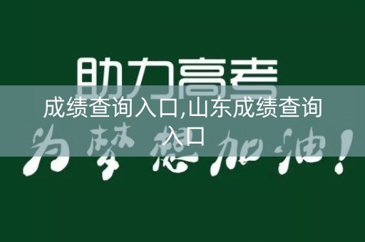 成绩查询入口,山东成绩查询入口