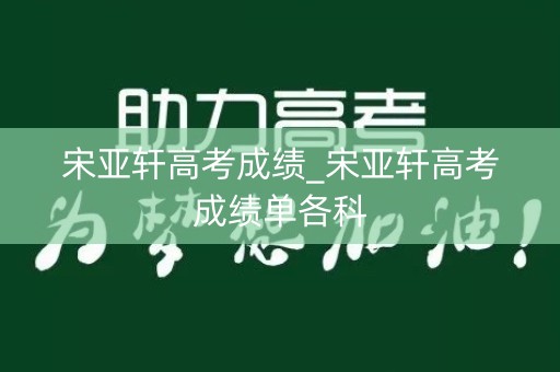 宋亚轩高考成绩_宋亚轩高考成绩单各科