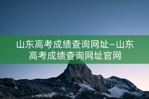 山东高考成绩查询网址—山东高考成绩查询网址官网