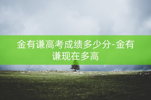 金有谦高考成绩多少分-金有谦现在多高