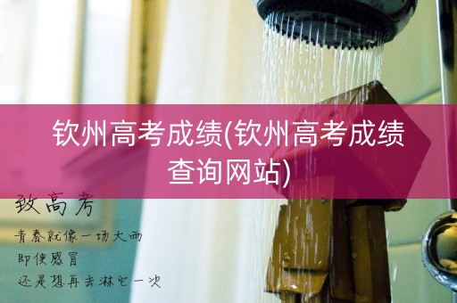 钦州高考成绩(钦州高考成绩查询网站)