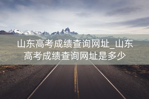 山东高考成绩查询网址_山东高考成绩查询网址是多少