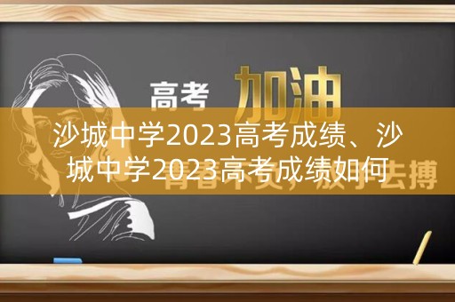 沙城中学2023高考成绩、沙城中学2023高考成绩如何