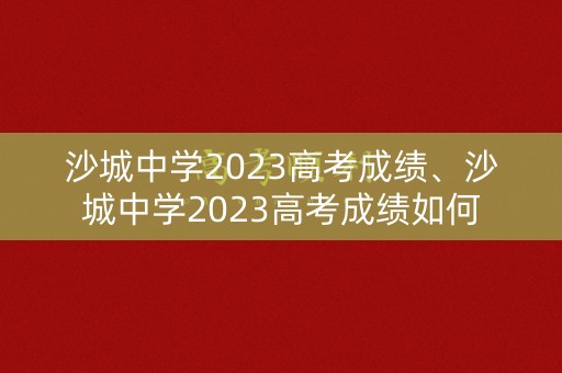 沙城中学2023高考成绩、沙城中学2023高考成绩如何