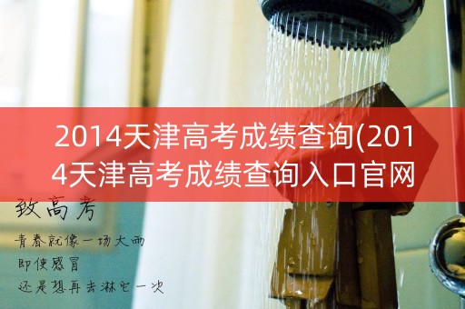 2014天津高考成绩查询(2014天津高考成绩查询入口官网)