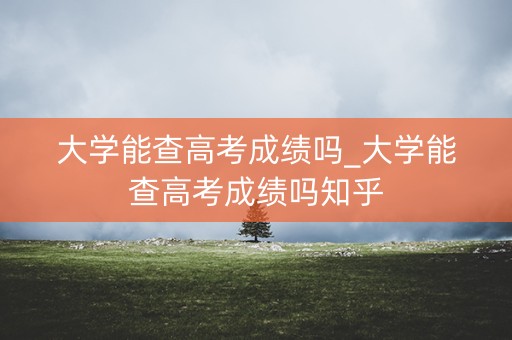 大学能查高考成绩吗_大学能查高考成绩吗知乎