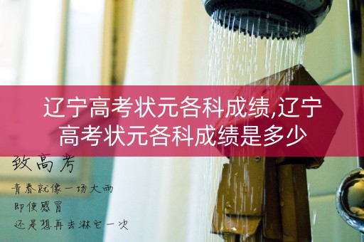 辽宁高考状元各科成绩,辽宁高考状元各科成绩是多少