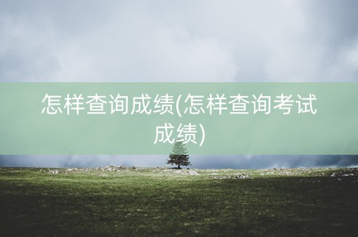 怎样查询成绩(怎样查询考试成绩)