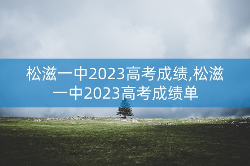 松滋一中2023高考成绩,松滋一中2023高考成绩单