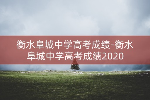 衡水阜城中学高考成绩-衡水阜城中学高考成绩2020