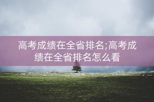 高考成绩在全省排名;高考成绩在全省排名怎么看