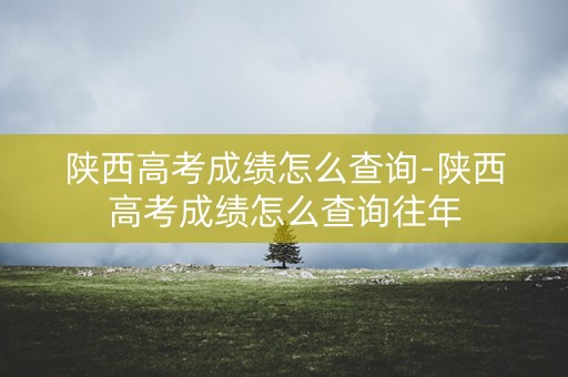陕西高考成绩怎么查询-陕西高考成绩怎么查询往年