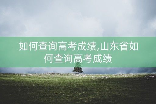 详细阅读:如何查询高考成绩,山东省如何查询高考成绩 如何查询高考成绩,山东省如何查询高考成绩