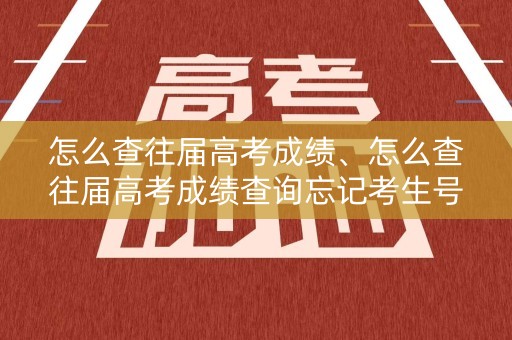 怎么查往届高考成绩、怎么查往届高考成绩查询忘记考生号