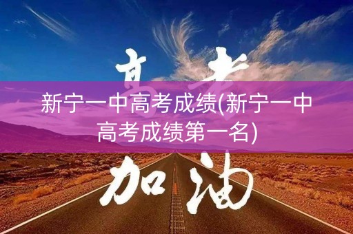 新宁一中高考成绩(新宁一中高考成绩第一名)