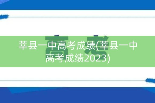 莘县一中高考成绩(莘县一中高考成绩2023)