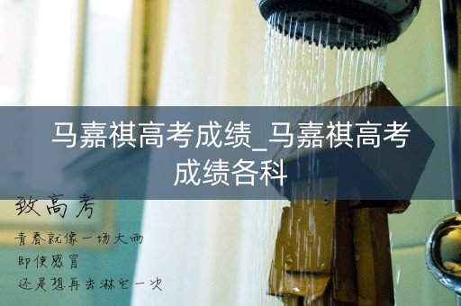 马嘉祺高考成绩_马嘉祺高考成绩各科