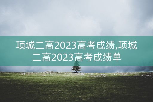 项城二高2023高考成绩,项城二高2023高考成绩单