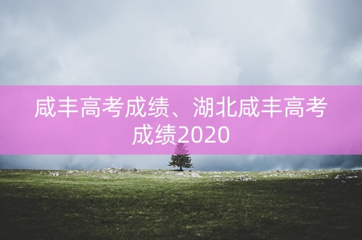 咸丰高考成绩、湖北咸丰高考成绩2020