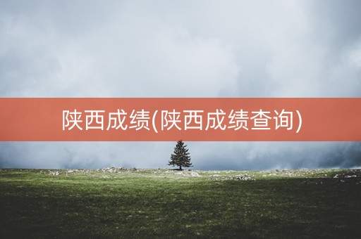 陕西成绩(陕西成绩查询)