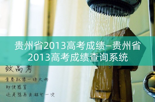 贵州省2013高考成绩—贵州省2013高考成绩查询系统