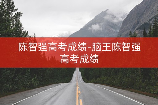 陈智强高考成绩-脑王陈智强高考成绩