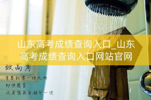山东高考成绩查询入口_山东高考成绩查询入口网站官网