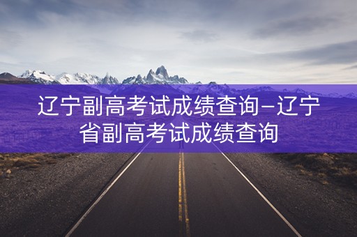 辽宁副高考试成绩查询—辽宁省副高考试成绩查询