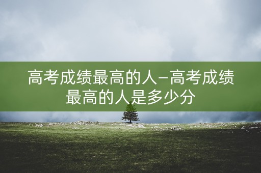 高考成绩最高的人—高考成绩最高的人是多少分
