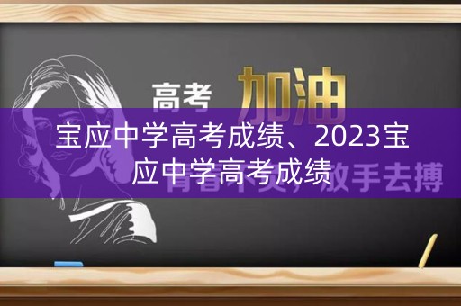 宝应中学高考成绩、2023宝应中学高考成绩