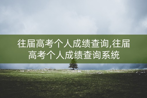 往届高考个人成绩查询,往届高考个人成绩查询系统