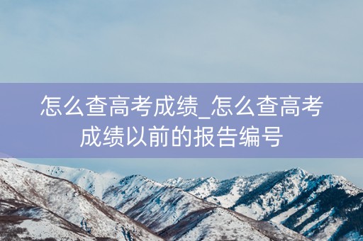 怎么查高考成绩_怎么查高考成绩以前的报告编号