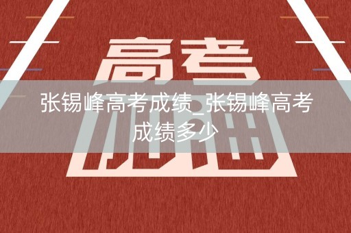 张锡峰高考成绩_张锡峰高考成绩多少