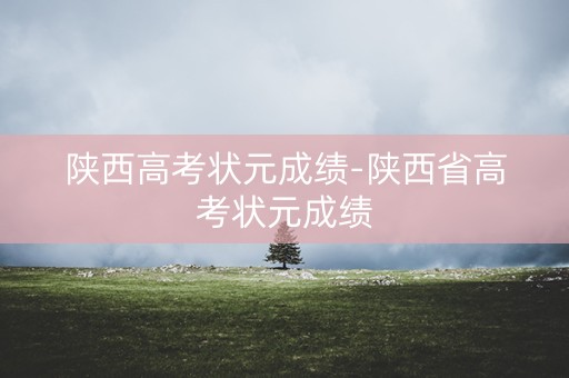陕西高考状元成绩-陕西省高考状元成绩