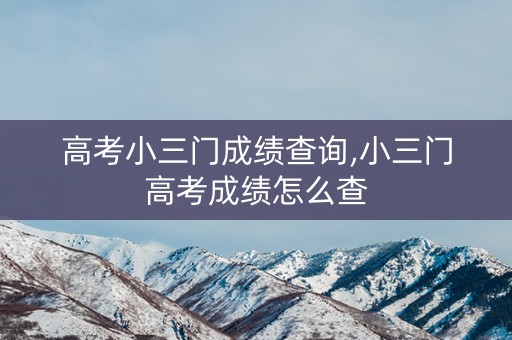 高考小三门成绩查询,小三门高考成绩怎么查