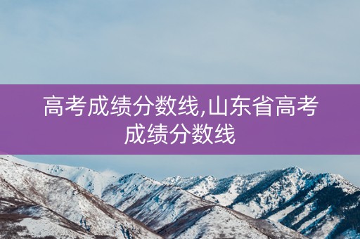 高考成绩分数线,山东省高考成绩分数线