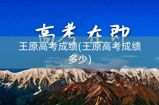 王原高考成绩(王原高考成绩多少)