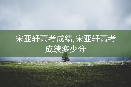 宋亚轩高考成绩,宋亚轩高考成绩多少分