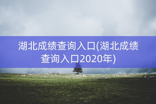 湖北成绩查询入口(湖北成绩查询入口2020年)