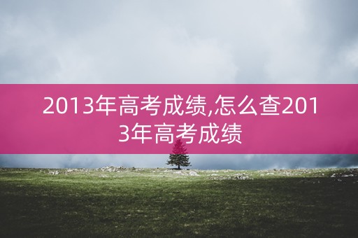 2013年高考成绩,怎么查2013年高考成绩