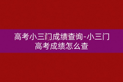 高考小三门成绩查询-小三门高考成绩怎么查